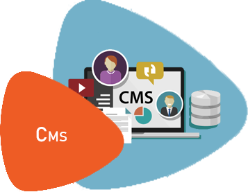 cms-services-img
